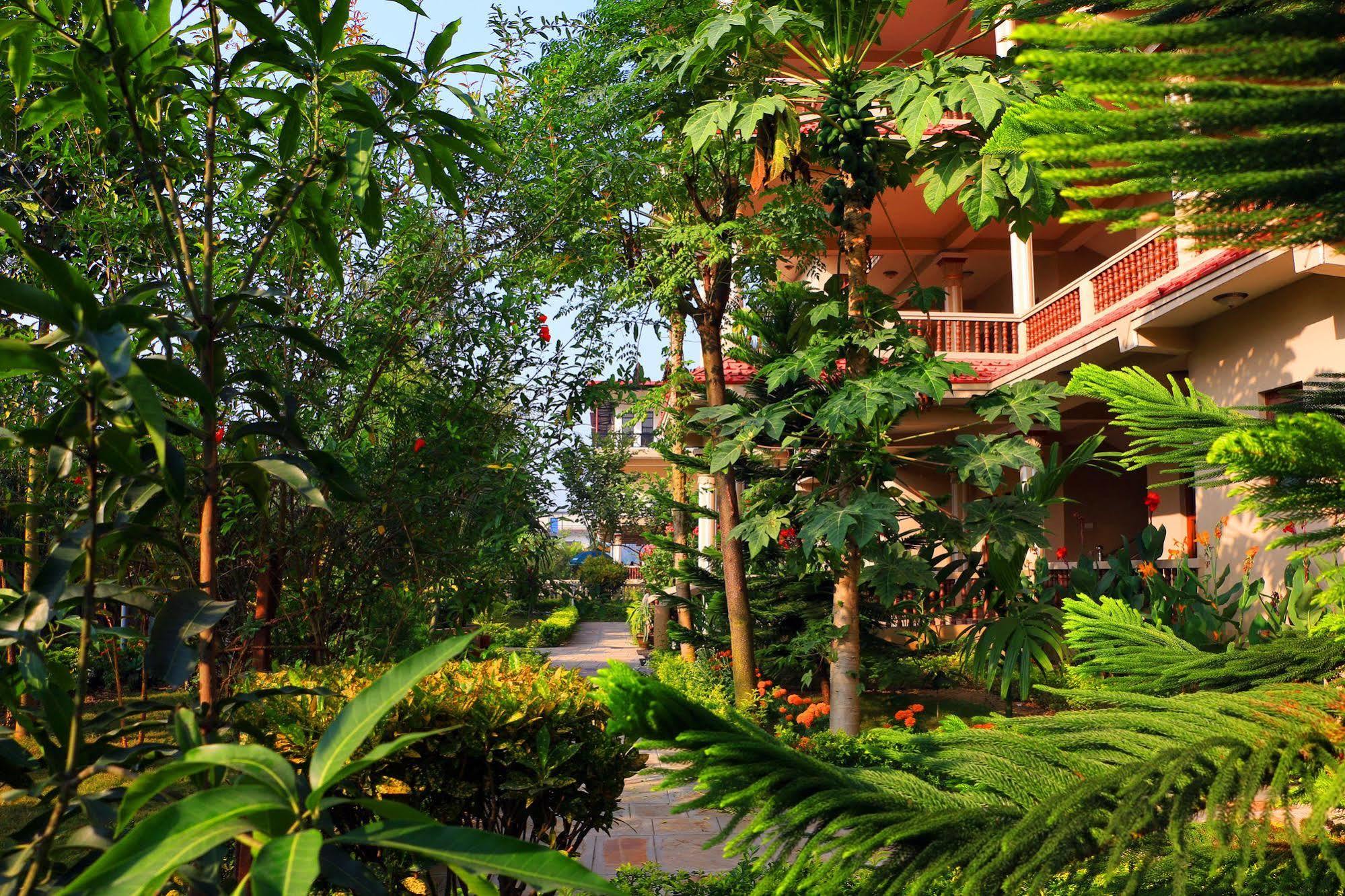 Hotel Royal Safari Sauraha Kültér fotó